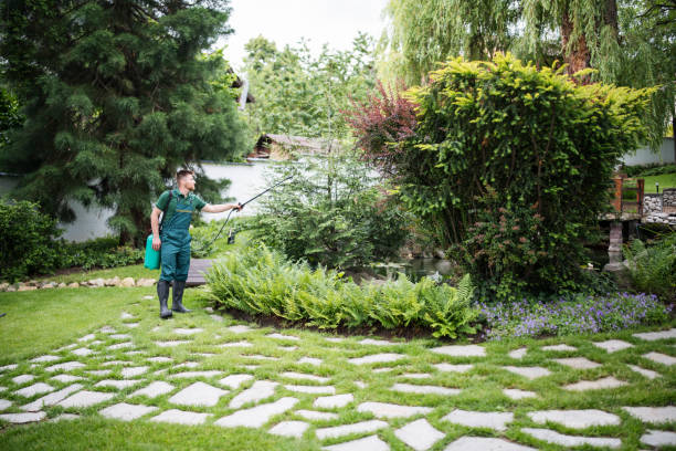 Best Best Pest Control Companies  in West, TX