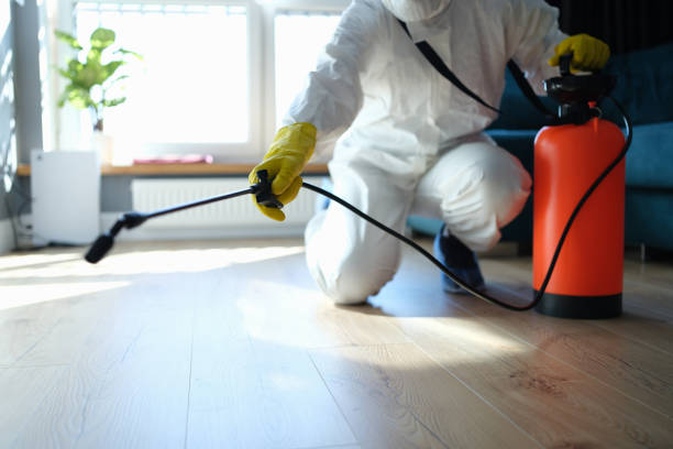 Best Pest Control for Homes  in West, TX