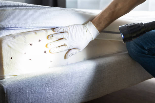 Best Wildlife Control Services  in West, TX