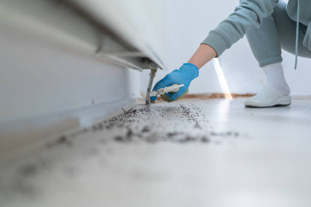 Best Rat Extermination Near Me  in West, TX